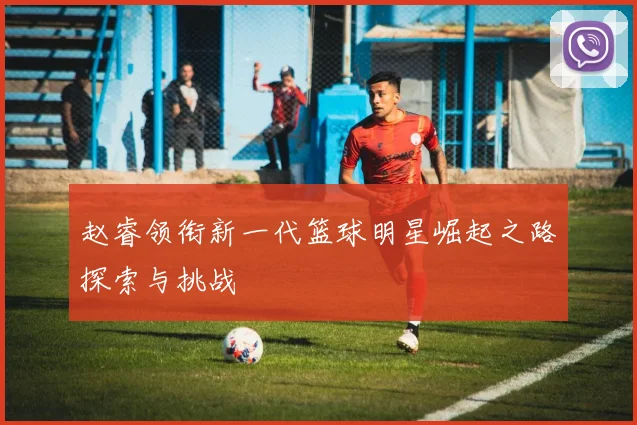 赵睿领衔新一代篮球明星崛起之路探索与挑战