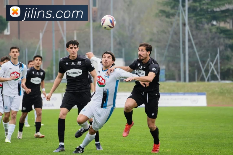 ld乐动发展历程